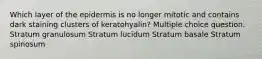 Which layer of the epidermis is no longer mitotic and contains dark staining clusters of keratohyalin? Multiple choice question. Stratum granulosum Stratum lucidum Stratum basale Stratum spinosum