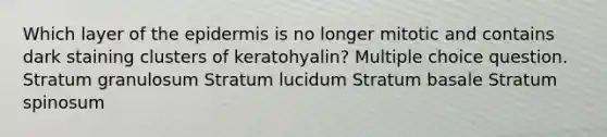 Which layer of <a href='https://www.questionai.com/knowledge/kBFgQMpq6s-the-epidermis' class='anchor-knowledge'>the epidermis</a> is no longer mitotic and contains dark staining clusters of keratohyalin? Multiple choice question. Stratum granulosum Stratum lucidum Stratum basale Stratum spinosum