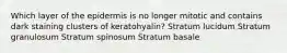 Which layer of the epidermis is no longer mitotic and contains dark staining clusters of keratohyalin? Stratum lucidum Stratum granulosum Stratum spinosum Stratum basale