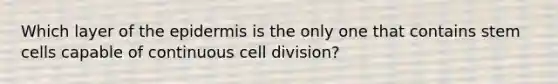 Which layer of the epidermis is the only one that contains stem cells capable of continuous cell division?