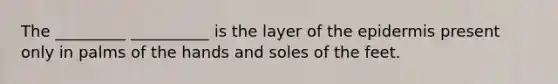 The _________ __________ is the layer of <a href='https://www.questionai.com/knowledge/kBFgQMpq6s-the-epidermis' class='anchor-knowledge'>the epidermis</a> present only in palms of the hands and soles of the feet.