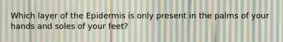 Which layer of <a href='https://www.questionai.com/knowledge/kBFgQMpq6s-the-epidermis' class='anchor-knowledge'>the epidermis</a> is only present in the palms of your hands and soles of your feet?