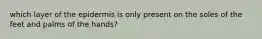 which layer of the epidermis is only present on the soles of the feet and palms of the hands?