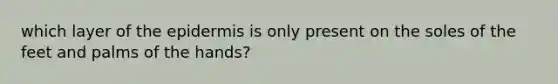 which layer of the epidermis is only present on the soles of the feet and palms of the hands?