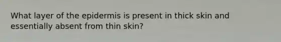 What layer of the epidermis is present in thick skin and essentially absent from thin skin?