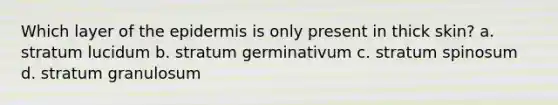 Which layer of the epidermis is only present in thick skin? a. stratum lucidum b. stratum germinativum c. stratum spinosum d. stratum granulosum