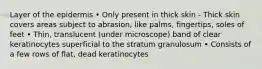 Layer of the epidermis • Only present in thick skin - Thick skin covers areas subject to abrasion, like palms, fingertips, soles of feet • Thin, translucent (under microscope) band of clear keratinocytes superficial to the stratum granulosum • Consists of a few rows of flat, dead keratinocytes