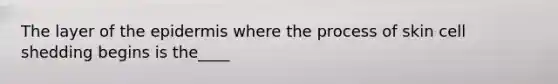 The layer of the epidermis where the process of skin cell shedding begins is the____