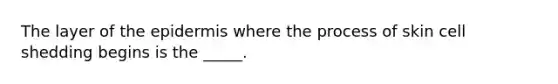 The layer of the epidermis where the process of skin cell shedding begins is the _____.