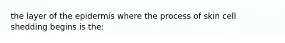 the layer of <a href='https://www.questionai.com/knowledge/kBFgQMpq6s-the-epidermis' class='anchor-knowledge'>the epidermis</a> where the process of skin cell shedding begins is the: