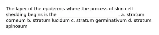 The layer of the epidermis where the process of skin cell shedding begins is the ___________________________. a. stratum corneum b. stratum lucidum c. stratum germinativum d. stratum spinosum