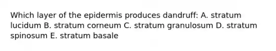 Which layer of the epidermis produces dandruff: A. stratum lucidum B. stratum corneum C. stratum granulosum D. stratum spinosum E. stratum basale