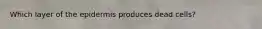 Which layer of the epidermis produces dead cells?