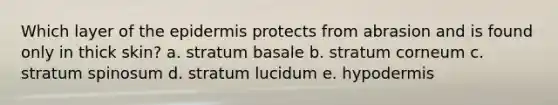 Which layer of the epidermis protects from abrasion and is found only in thick skin? a. stratum basale b. stratum corneum c. stratum spinosum d. stratum lucidum e. hypodermis