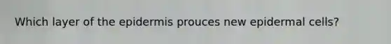 Which layer of the epidermis prouces new epidermal cells?