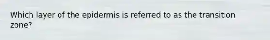 Which layer of the epidermis is referred to as the transition zone?