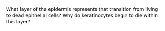 What layer of the epidermis represents that transition from living to dead epithelial cells? Why do keratinocytes begin to die within this layer?