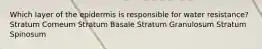 Which layer of the epidermis is responsible for water resistance? Stratum Corneum Stratum Basale Stratum Granulosum Stratum Spinosum