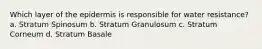 Which layer of the epidermis is responsible for water resistance? a. Stratum Spinosum b. Stratum Granulosum c. Stratum Corneum d. Stratum Basale