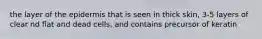 the layer of the epidermis that is seen in thick skin, 3-5 layers of clear nd flat and dead cells, and contains precursor of keratin