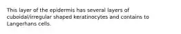 This layer of the epidermis has several layers of cuboidal/irregular shaped keratinocytes and contains to Langerhans cells.