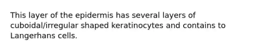 This layer of <a href='https://www.questionai.com/knowledge/kBFgQMpq6s-the-epidermis' class='anchor-knowledge'>the epidermis</a> has several layers of cuboidal/irregular shaped keratinocytes and contains to Langerhans cells.