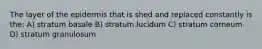 The layer of the epidermis that is shed and replaced constantly is the: A) stratum basale B) stratum lucidum C) stratum corneum D) stratum granulosum