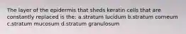 The layer of the epidermis that sheds keratin cells that are constantly replaced is the: a.stratum lucidum b.stratum corneum c.stratum mucosum d.stratum granulosum