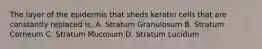 The layer of the epidermis that sheds keratin cells that are constantly replaced is: A. Stratum Granulosum B. Stratum Corneum C. Stratum Mucosum D. Stratum Lucidum