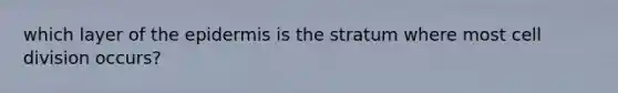 which layer of the epidermis is the stratum where most cell division occurs?