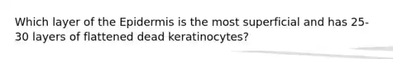 Which layer of <a href='https://www.questionai.com/knowledge/kBFgQMpq6s-the-epidermis' class='anchor-knowledge'>the epidermis</a> is the most superficial and has 25-30 layers of flattened dead keratinocytes?