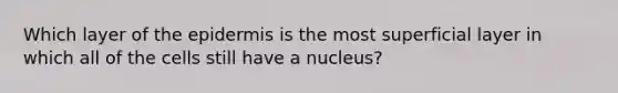 Which layer of the epidermis is the most superficial layer in which all of the cells still have a nucleus?