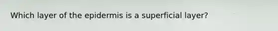 Which layer of the epidermis is a superficial layer?