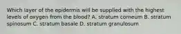 Which layer of the epidermis will be supplied with the highest levels of oxygen from the blood? A. stratum corneum B. stratum spinosum C. stratum basale D. stratum granulosum