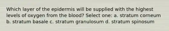 Which layer of the epidermis will be supplied with the highest levels of oxygen from the blood? Select one: a. stratum corneum b. stratum basale c. stratum granulosum d. stratum spinosum