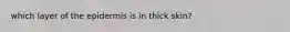 which layer of the epidermis is in thick skin?