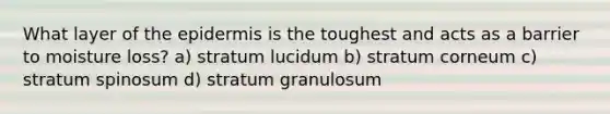 What layer of the epidermis is the toughest and acts as a barrier to moisture loss? a) stratum lucidum b) stratum corneum c) stratum spinosum d) stratum granulosum