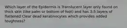 Which layer of the Epidermis is Translucent layer only found on thick skin (like palm or bottom of foot) and has 3-5 layers of flattened Clear dead keratinocytes which provides added toughness?