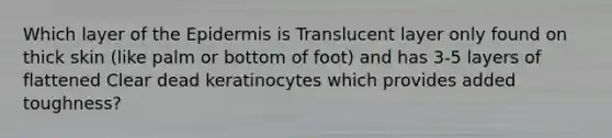 Which layer of the Epidermis is Translucent layer only found on thick skin (like palm or bottom of foot) and has 3-5 layers of flattened Clear dead keratinocytes which provides added toughness?