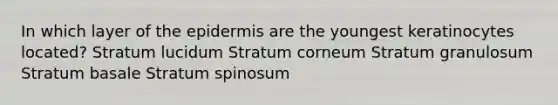 In which layer of the epidermis are the youngest keratinocytes located? Stratum lucidum Stratum corneum Stratum granulosum Stratum basale Stratum spinosum