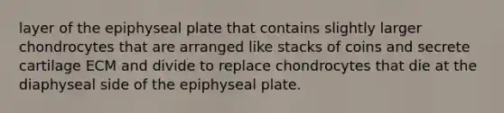 layer of the epiphyseal plate that contains slightly larger chondrocytes that are arranged like stacks of coins and secrete cartilage ECM and divide to replace chondrocytes that die at the diaphyseal side of the epiphyseal plate.