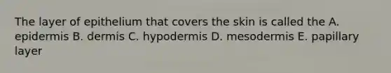 The layer of epithelium that covers the skin is called the A. epidermis B. dermis C. hypodermis D. mesodermis E. papillary layer