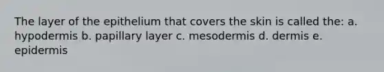 The layer of the epithelium that covers the skin is called the: a. hypodermis b. papillary layer c. mesodermis d. dermis e. epidermis