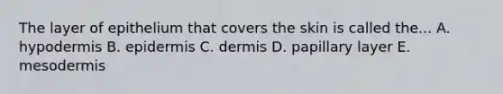 The layer of epithelium that covers the skin is called the... A. hypodermis B. epidermis C. dermis D. papillary layer E. mesodermis