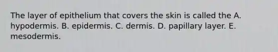 The layer of epithelium that covers the skin is called the A. hypodermis. B. epidermis. C. dermis. D. papillary layer. E. mesodermis.