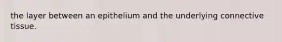 the layer between an epithelium and the underlying connective tissue.