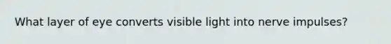 What layer of eye converts visible light into nerve impulses?