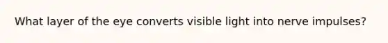 What layer of the eye converts visible light into nerve impulses?