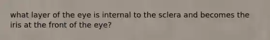 what layer of the eye is internal to the sclera and becomes the iris at the front of the eye?