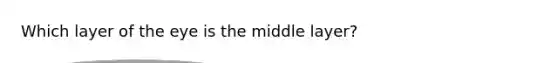 Which layer of the eye is the middle layer?